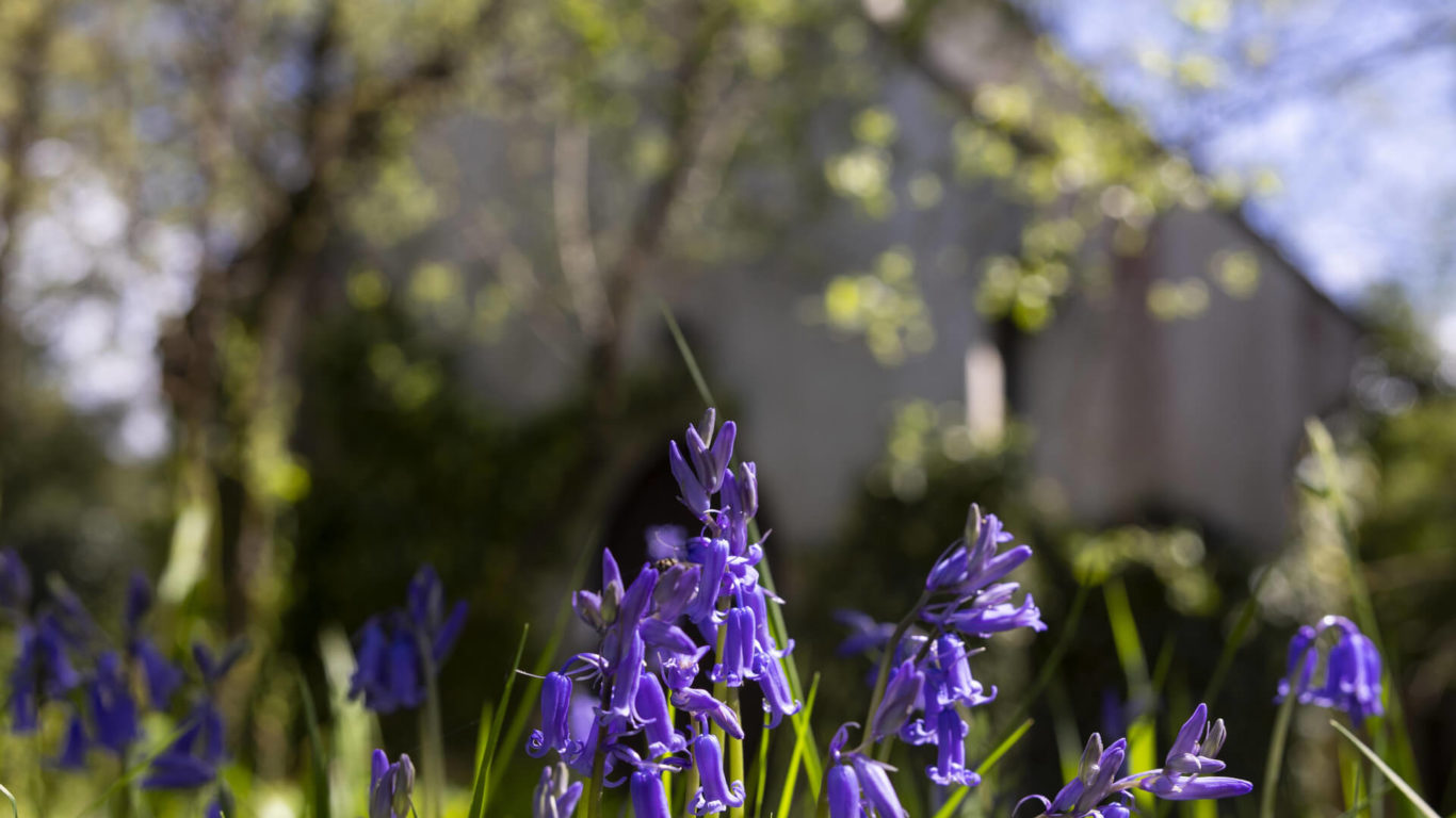 chapel Brooklodge_1173