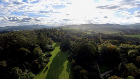 discover Avondale Forest Park