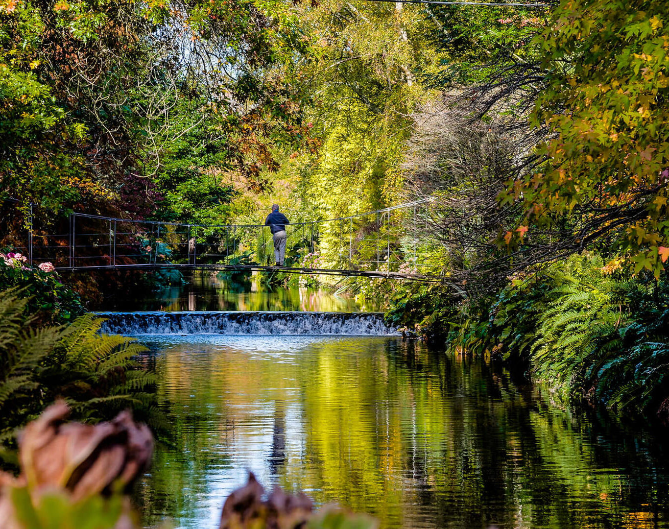 discover Mount Usher Gardens, Co Wicklow_Web Size