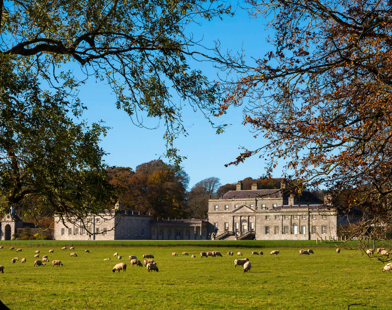 discover Russborough House & Parklands