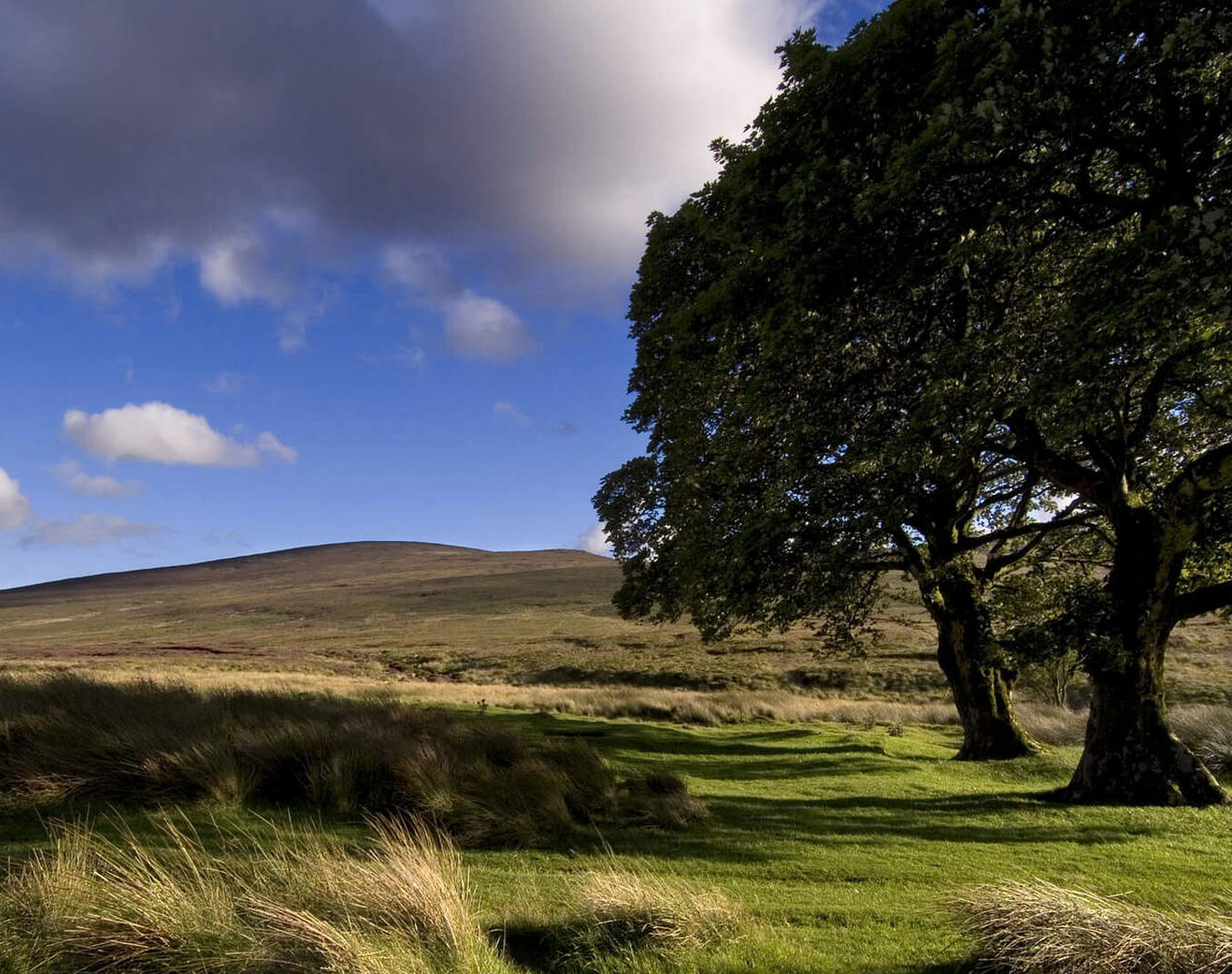 discover The Sally Gap, Wicklow Mountains_Web Size