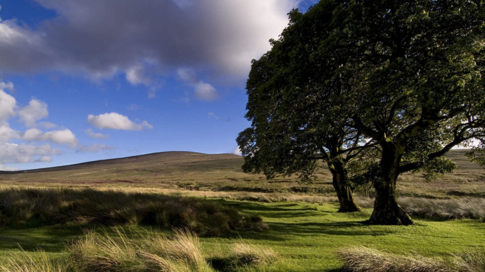 discover The Sally Gap, Wicklow Mountains_Web Size