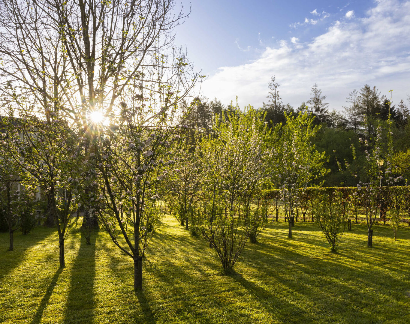 grounds Brooklodge_1259