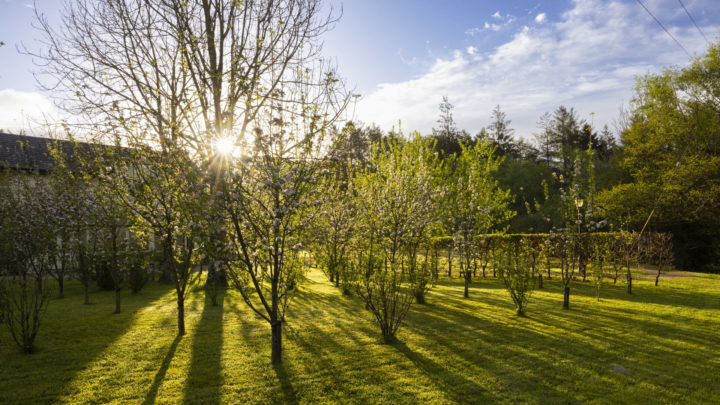 grounds Brooklodge_1259