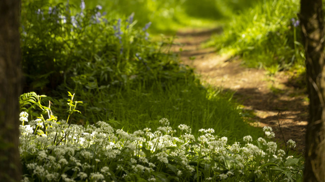 grounds Brooklodge_1315