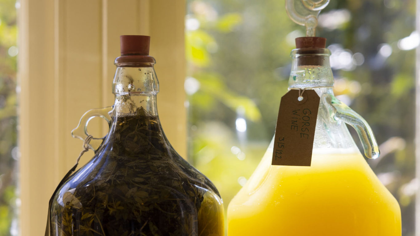 organic-food -Brooklodge_1303