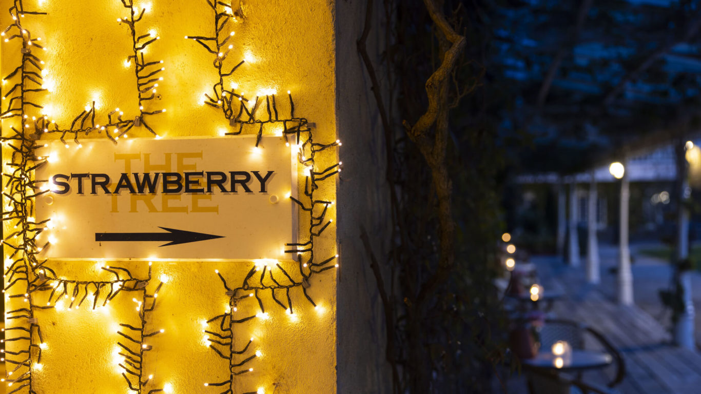 strawberry tree Brooklodge_1233