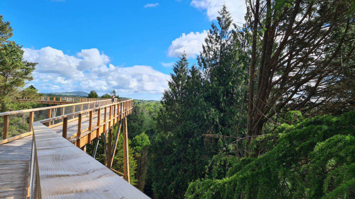 Avondale Treetop Walk, Co Wicklow_Web Size (1)