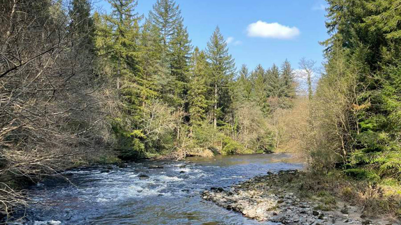 Avonmore River, Avondale Forest Park, Co Wicklow_Web Size