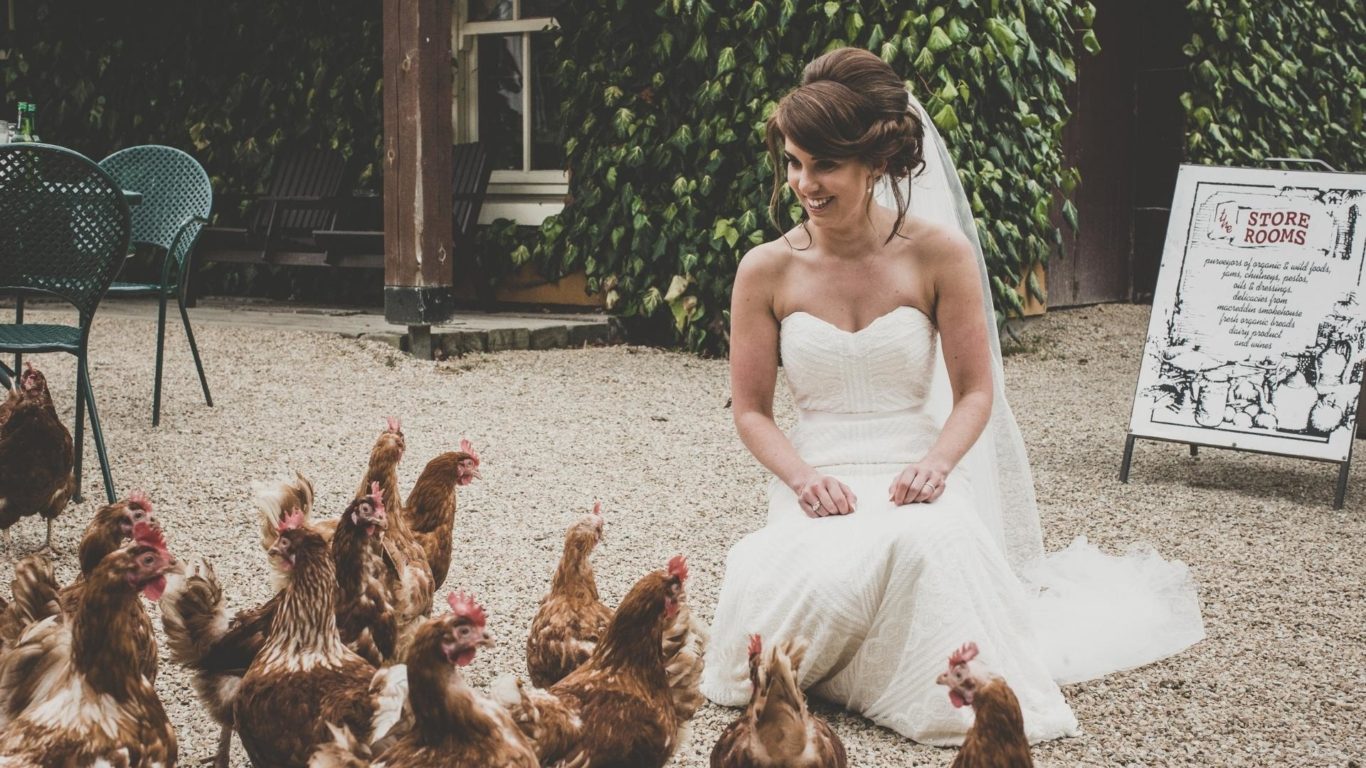 Wedding Image with hens