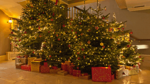 BrookLodge – New site image resize (1)