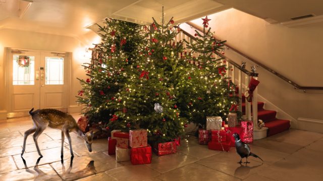 Christmas lobby