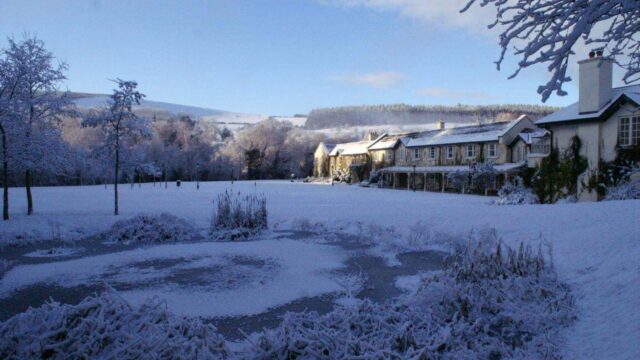 Snow-2-1-1