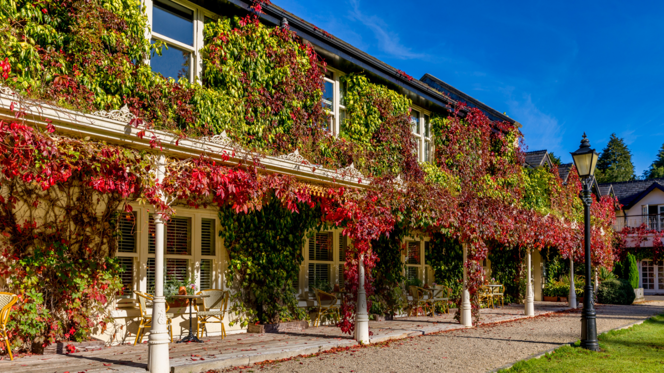 BrookLodge Avvio Website images – 1920 px x 1080 px