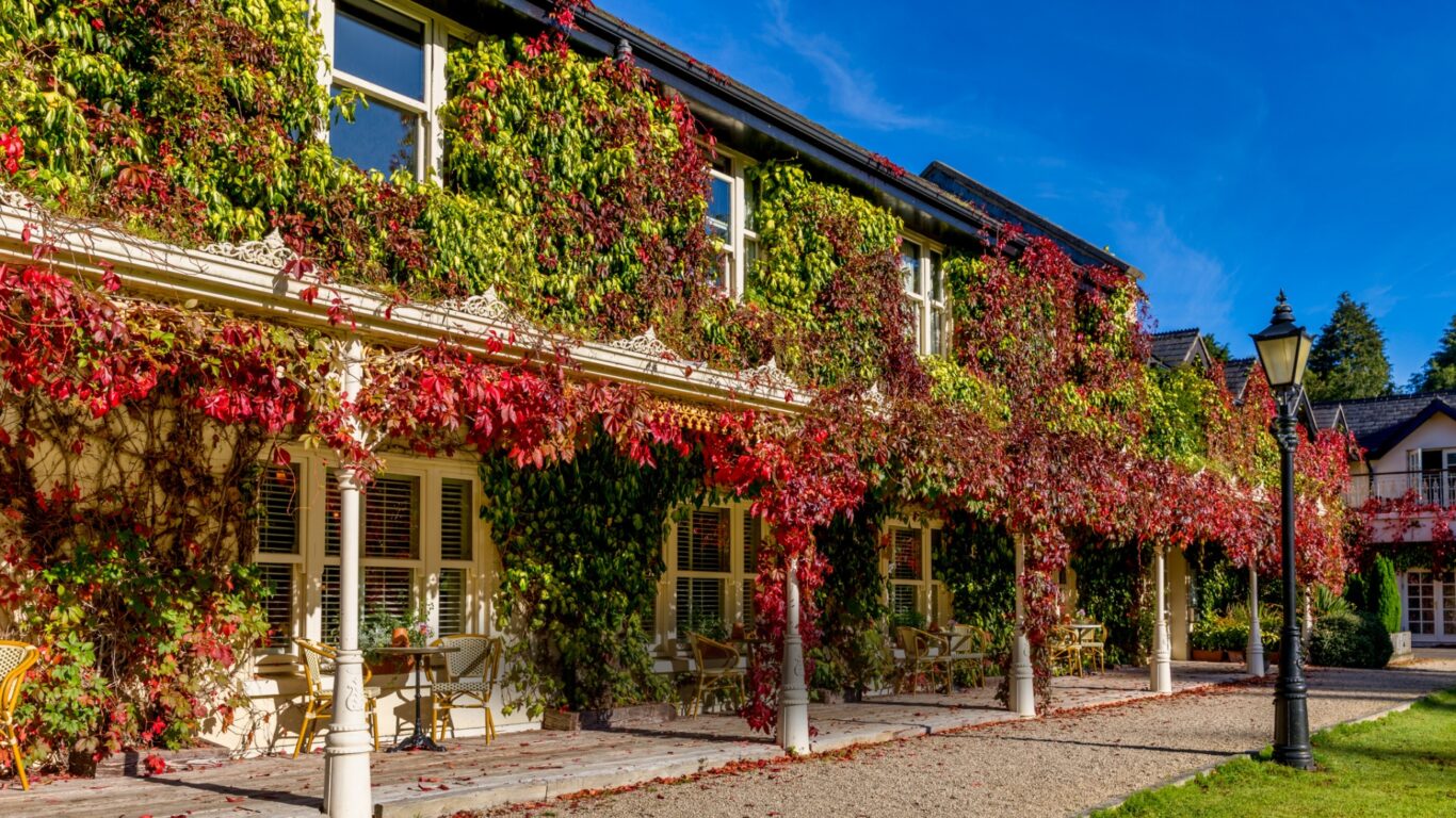 BrookLodge Avvio Website images – 1920 px x 1080 px (6)