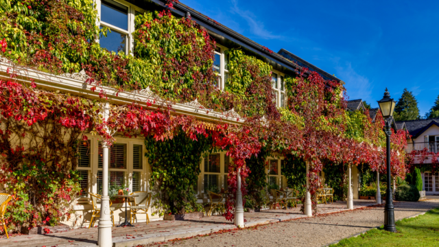 BrookLodge Avvio Website images – 1920 px x 1080 px