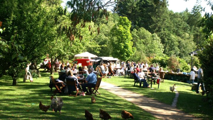 Summer guide Wicklow